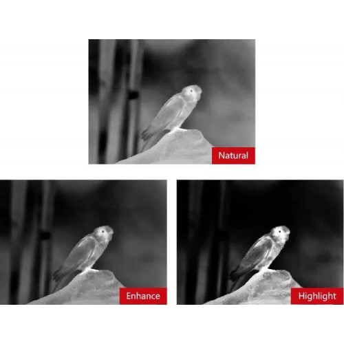 Тепловизионный бинокуляр Guide TN430 400х300, ø35мм, лазерный дальномер в Альметьевске