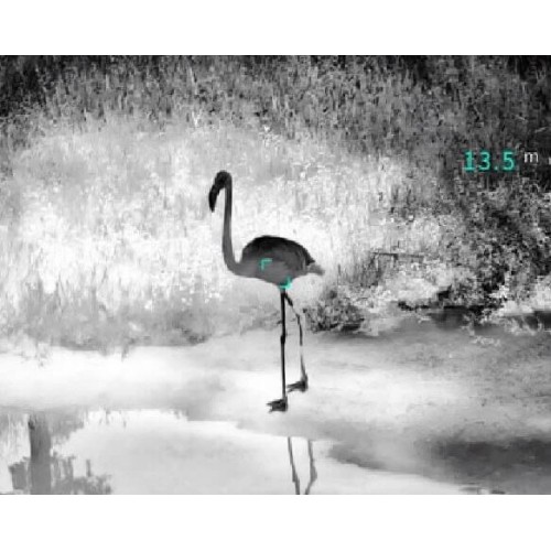 Тепловизионный бинокуляр Guide TN430 400х300, ø35мм, лазерный дальномер в Альметьевске