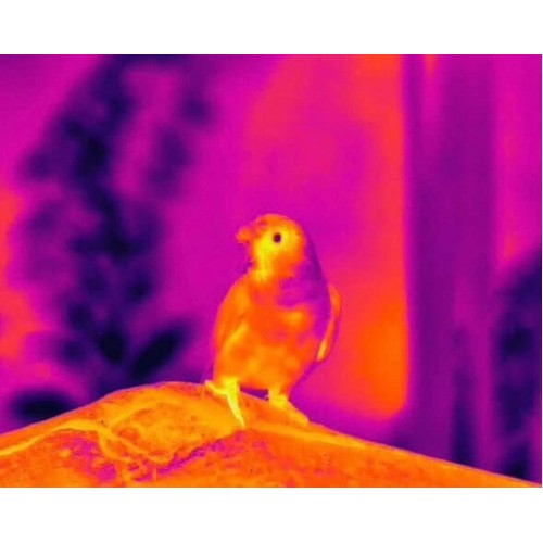 Тепловизионный бинокуляр Guide TN430 400х300, ø35мм, лазерный дальномер в Альметьевске